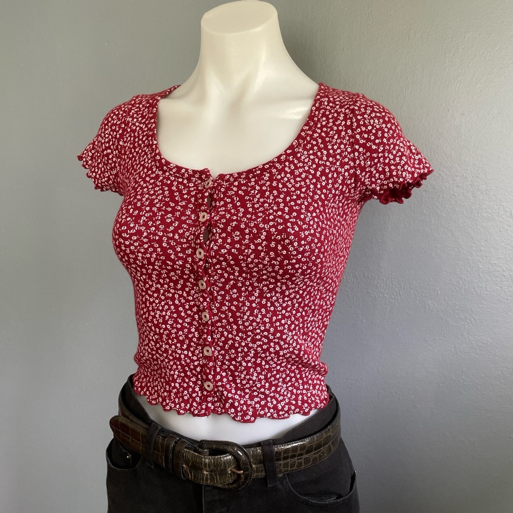 Brandy Melville Red Floral Crop Top